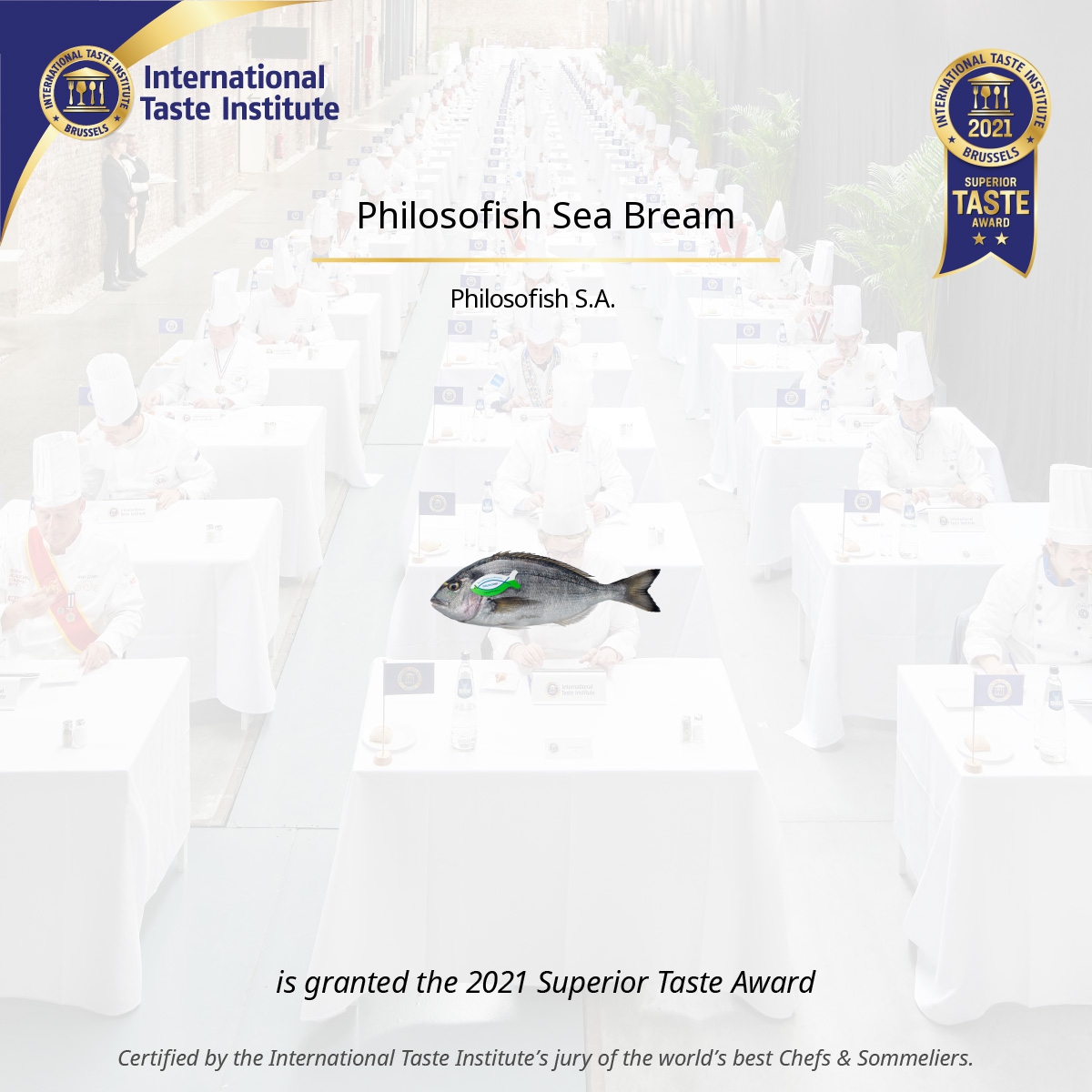 Square image of Philosofish Sea Bream